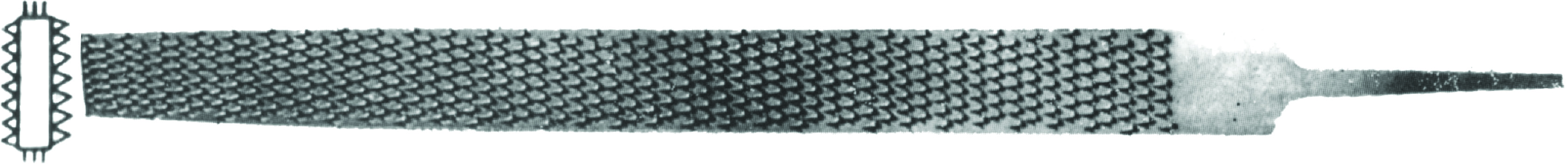 AĞAÇ TÖRPÜSÜ  -  FLAT 12"
